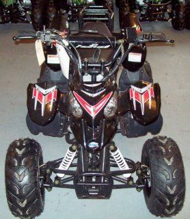 2009 Gas Powered 110cc (black) Youth Quad/atv/4 Wheeler 
