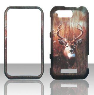 2D Buck Deer Motorola Photon Q LTE XT897 Sprint Case Cover Phone Snap on Cover Case Faceplates Cell Phones & Accessories