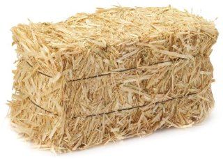 FloraCraft Straw Bales, 2 1/2 Inch by 1 1/4 Inch 1 Inch Bale