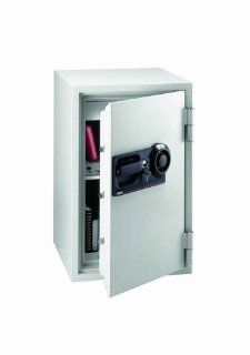 Commercial Combination Fire Safe in Light Gray