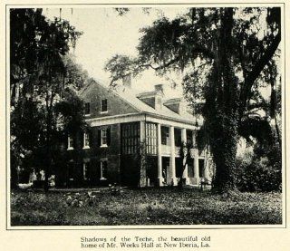 1923 Print Shadows of the Teche Historic Home Weeks Hall New Iberia Louisiana   Original Halftone Print  