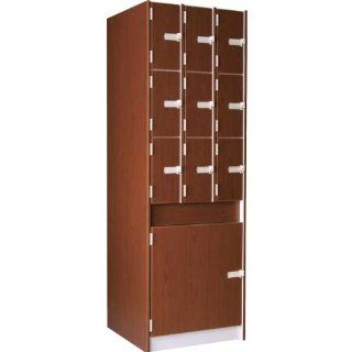 Sax, Flute, Oboe, Piccolo & Trumpet Cabinet   10 Cmpts   Solid Doors  Modular Storage Systems 