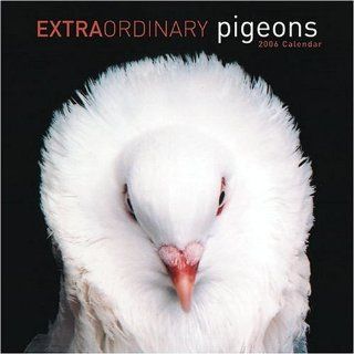 Extraordinary Pigeons Cal06 (Wall Calendar) Stephen Green armytage 9780810987739 Books