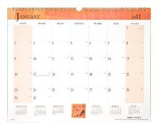 Day Runner Dated Calendar Refills, 15 x 12 Inches, White and Cream, 2011 (998 3 11)  Appointment Books And Planners 