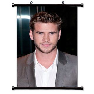 Liam Hemsworth HOT Actor Fabric Wall Scroll Poster (16" x 24") Inches   Prints