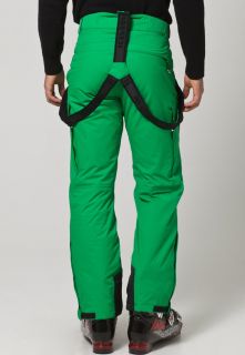 Icepeak RALF   Waterproof trousers   green