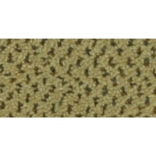 New Dimension Desert Shadow Cut Pile Indoor Carpet