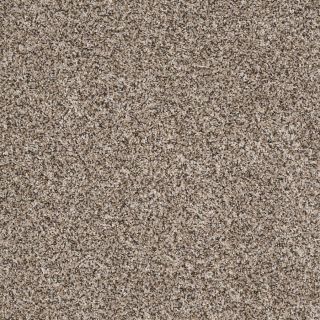 Shaw 7L52900117 Cream Textured Indoor Carpet