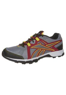 Reebok   TRAIL RUN RS   Trail running shoes   grey