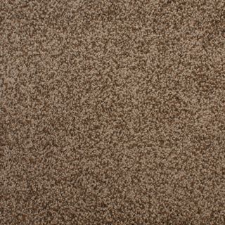 STAINMASTER Active Family Huntington Heights Brown Textured Indoor Carpet