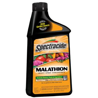 Spectracide 16 oz Malathion Insect Spray Concentrate Liquid