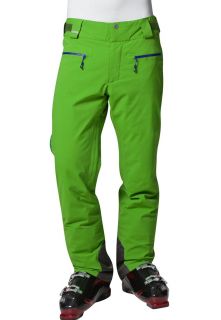 Salomon   ODYSSEE GTX   Waterproof trousers   green