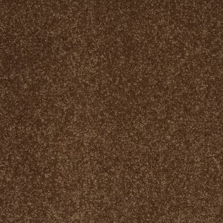 Shaw 7L52500204 Yellow Textured Indoor Carpet