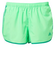 adidas Performance   MARATHON 10   Shorts   green