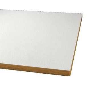 Armstrong 12 Pack Optima Ceiling Tile Panel (Common 24 in x 48 in; Actual 23.719 in x 47.719 in)