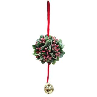 Holiday Living Frosted Mistletoe Kissing Ball