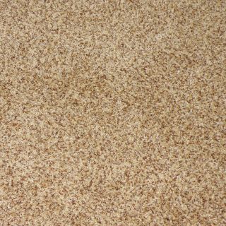 STAINMASTER Weddington Tuscany Cut Pile Indoor Carpet