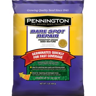 Pennington 1 lbs Sun and Shade Fescue Grass Seed Mixture