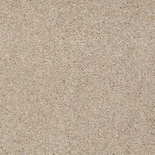 Shaw 7L56900107 Travertine Textured Indoor Carpet