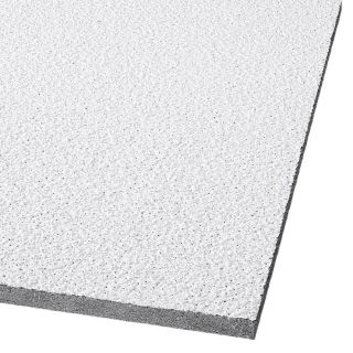 Armstrong 8 Pack Tundra Ceiling Tile Panel (Common 24 in x 48 in; Actual 23.719 in x 47.719 in)