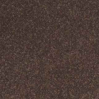 STAINMASTER Trusoft Luscious IV Mink Textured Indoor Carpet