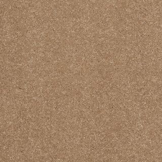 STAINMASTER Trusoft Luscious III Nutmeg Textured Indoor Carpet