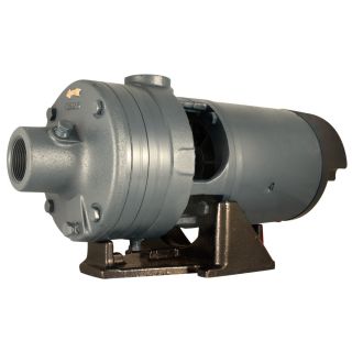 STAR Water Systems 2 HP Cast Iron Lawn Pump