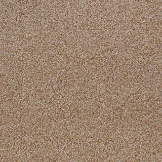 STAINMASTER Active Family Oak Grove Brown Cut and Loop Indoor Carpet