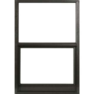 West Palm 580 Series Aluminum Single Pane Replacement Single Hung Window (Fits Rough Opening 38 in x 64 in; Actual 37 in x 63 in)