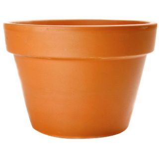 5 in H x 8 in W x 8.5 in D Terracotta Clay Outdoor Pot