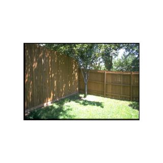 Pine Dog Ear Pressure Treated Wood Fence Picket (Common 7/16 In x 4 In x 72 in; Actual 0.44 in x 4 in x 72 in)
