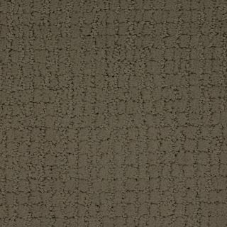 Dixie Group Trusoft Perpetual Brown Fashion Forward Indoor Carpet