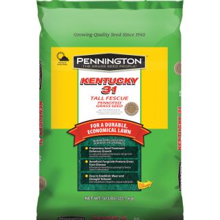 Pennington Ky 31 50 lb Fescue Pure Grass Seed