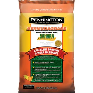 Pennington 5 Lbs. Pennington Sahara Bermuda Grass Penkoted Lawn Seed