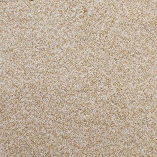 STAINMASTER Active Family Huntington Heights Yellow Textured Indoor Carpet