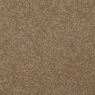 Shaw Ash Blonde Textured Indoor Carpet