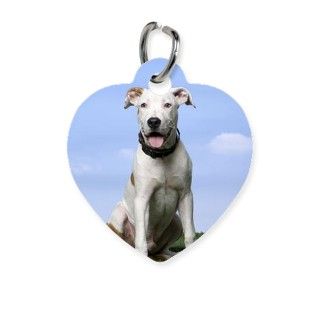 American Staffordshire Terrier Puppy Pet Tag by Admin_CP70839509