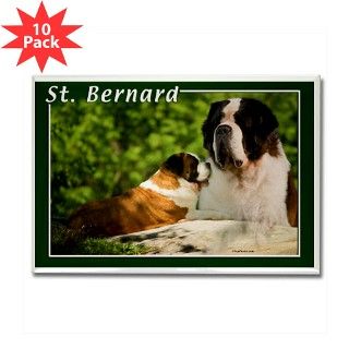 St Bernard 2 Rectangle Magnet (10 pack) by dogphotocom