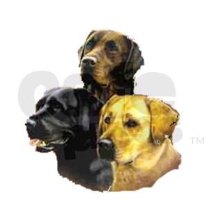 Labrador Retriever Rectangle Decal by labrador_22