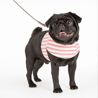 ticking stripe dog harness by mutts & hounds