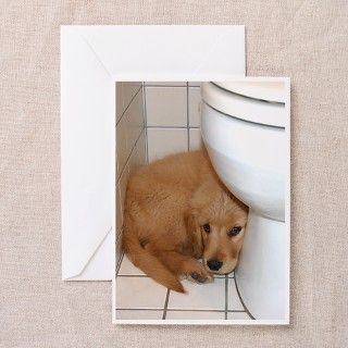 Golden Get Well Cards (Pk of 10) by some_doggerel
