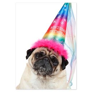 Closeup of Fawn Pug wearing col Invitations by ADMIN_CP_GETTY35497297