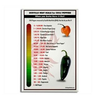 Scoville Scale for Chilli Pep Rectangle Magnet by chilihead