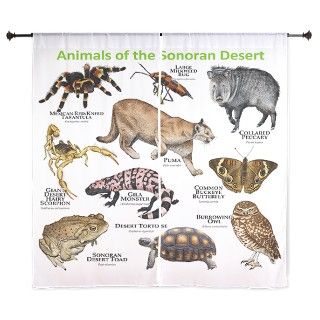 Animals of the Sonoran Desert 60 Curtains by Admin_CP6091949