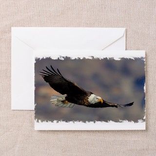 First Flight Greeting Cards (Pk of 10) by wildlight_photo