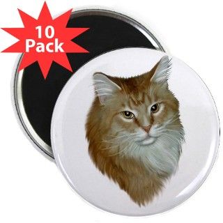 Red Tabby Maine Coon Cat Magnet (10 pk) by mainecooncats