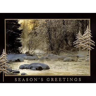 Wintery Creek Greeting Cards (Pk of 10) by sxyladybugs