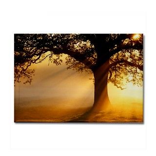 Oak tree at sunrise   Rectangle Magnet by sciencephotos