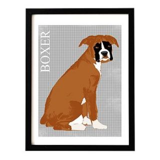 boxer dog art print by indira albert