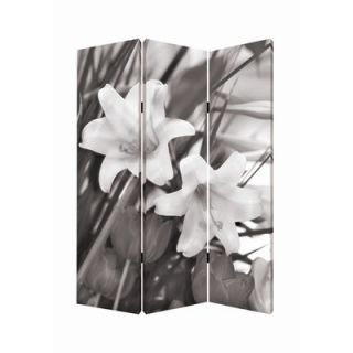 Screen Gems 71 x 47 Lilly Screen 3 Panel Room Divider